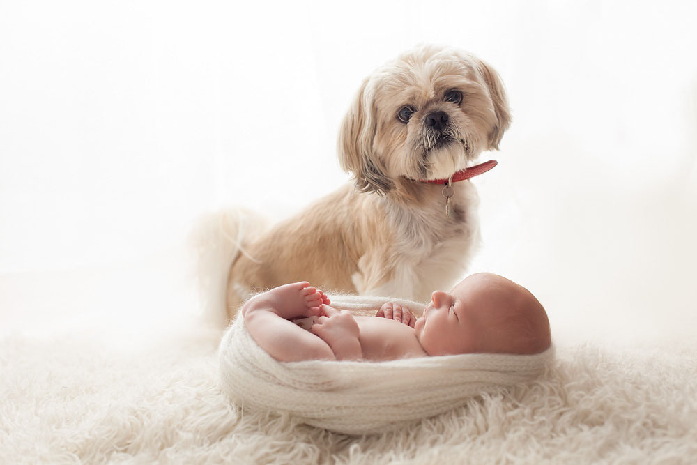 Newborn Photography