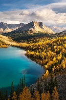 Fall photography in the Canadian Rockies.