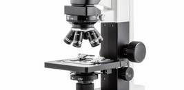 Microscopy Photography: A Peek into Tiny Worlds