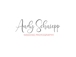 https://www.hochzeitsfotograf-schniepp.ch/ website