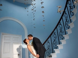 https://www.fosseyimages.com/ website