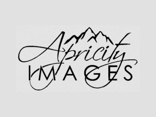 https://apricityimages.com/ website